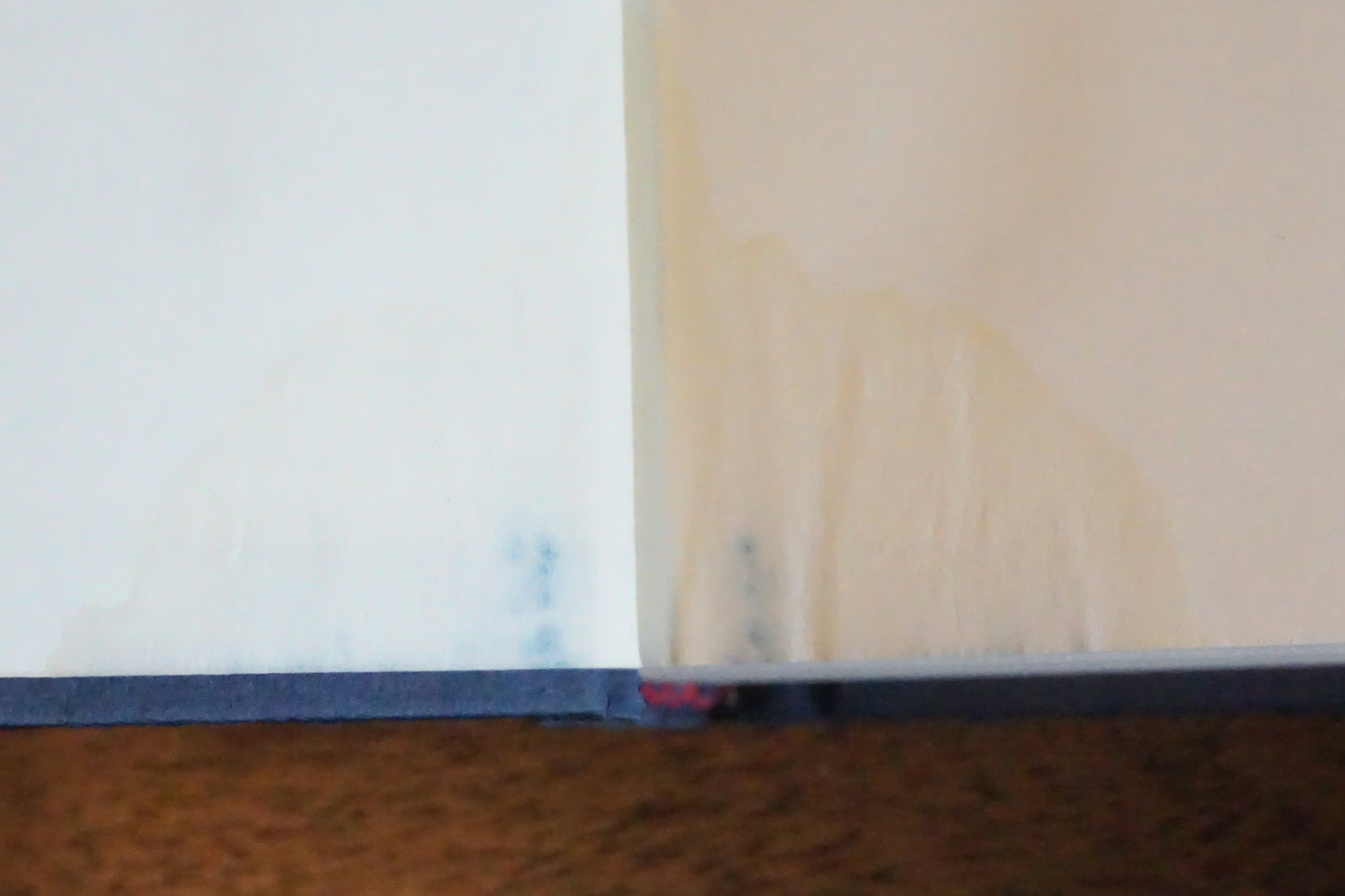 White House Diary by Jimmy Carter 2010 - Signed
