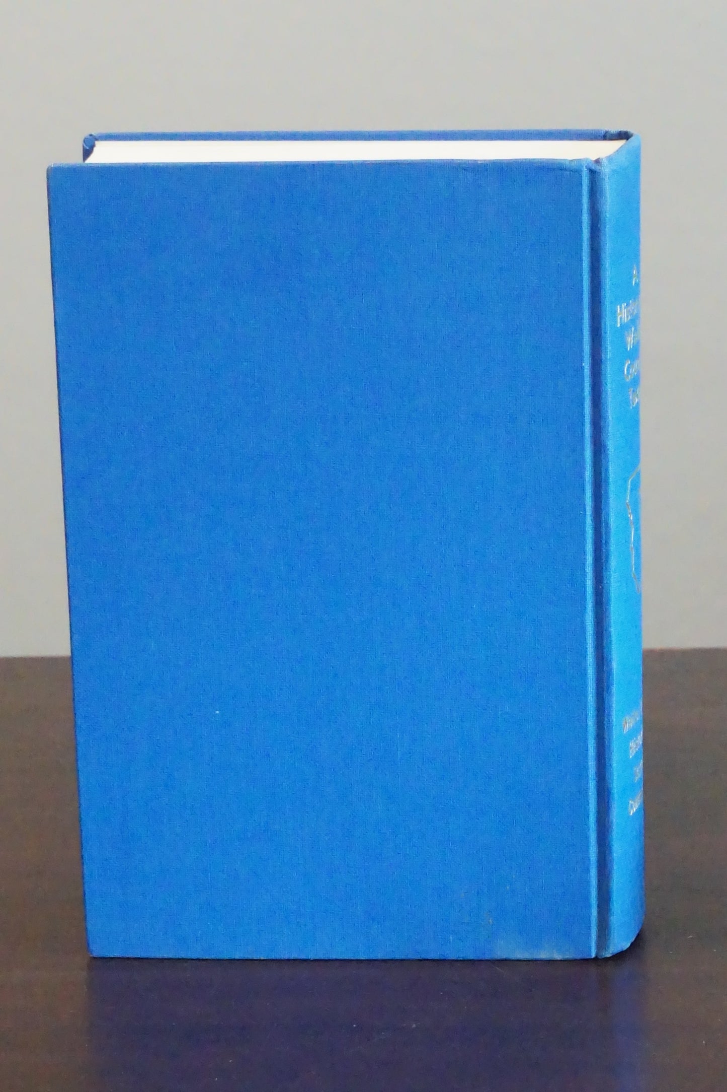 A History of Waller County, Texas 1973