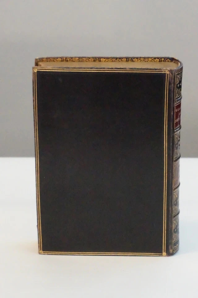 A Popular Commentary on The New Testament by Daniel D. Whedon 1874-1882 - Leather