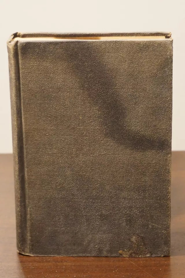 The New Orleans Picayune Creole Cook Book - 2nd Edition - 1901