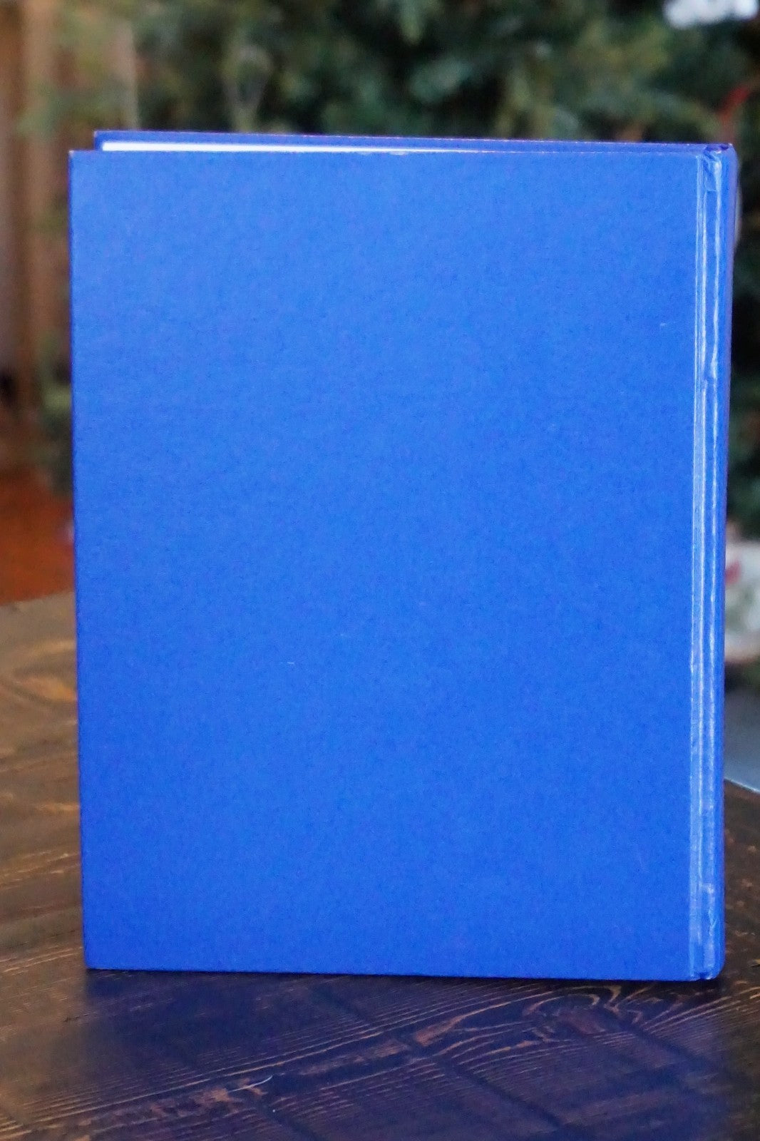 Lake Park, Iowa History 1892 - 1992 Hardcover