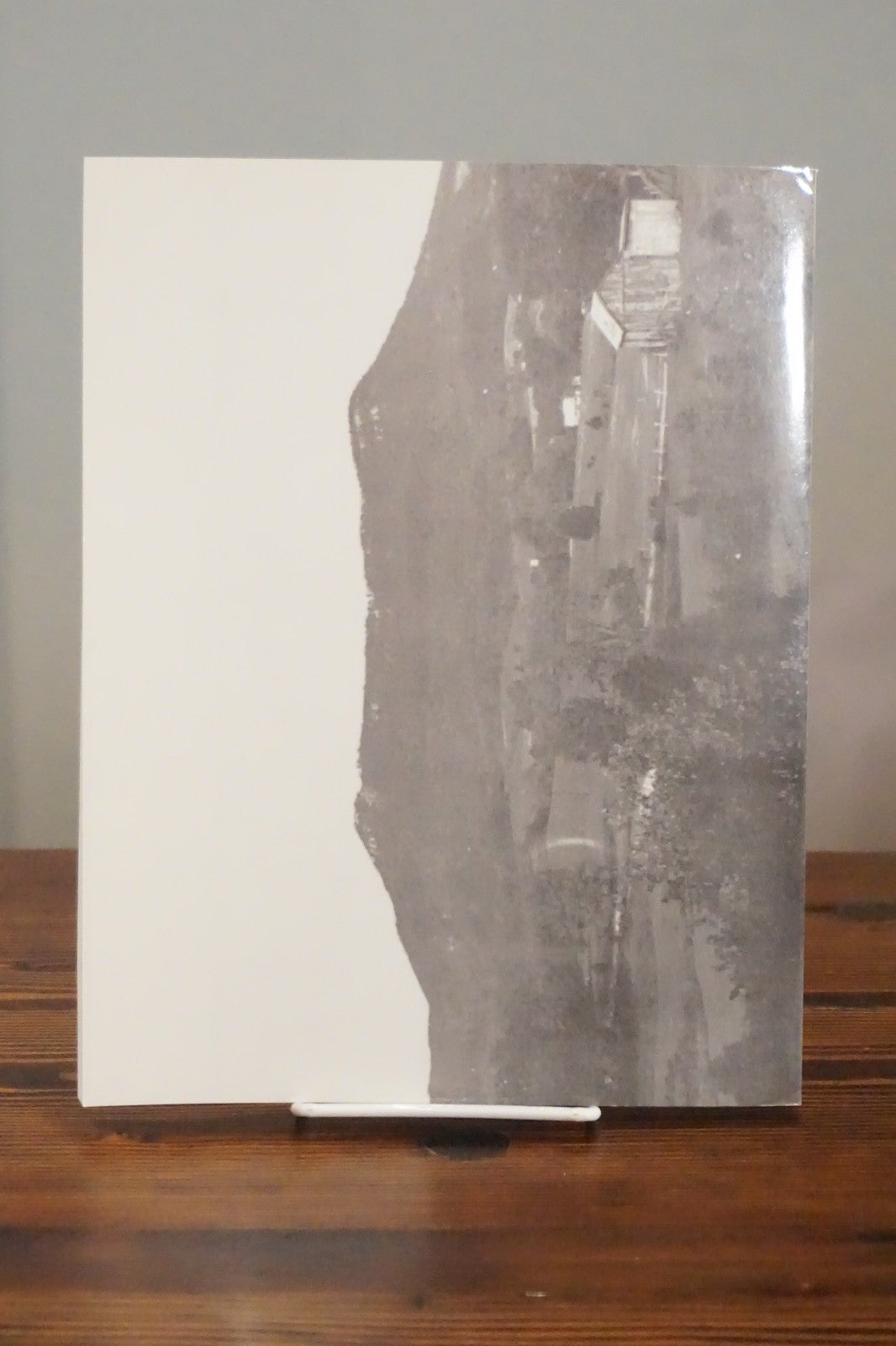 A Place Apart Roanoke Virginia Prillaman Clearfield Reprint Softcover