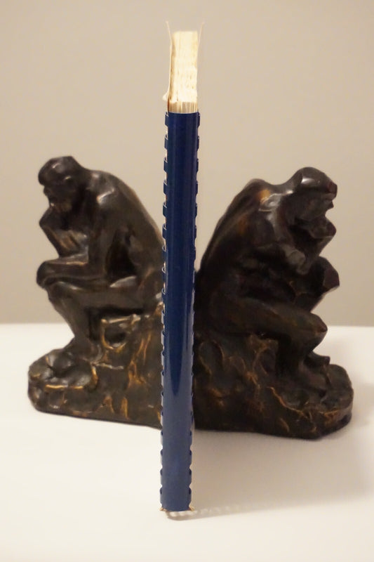 Very Rare Copy of Big Blue Seed by Raymond Kosmic 1984 Spiralbound
