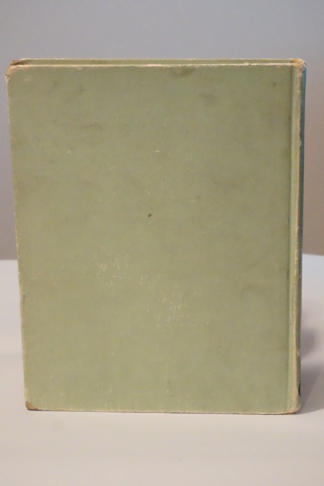 The Runaway Smalls by Ruth Campbell 1923 1st Edition Hardcover