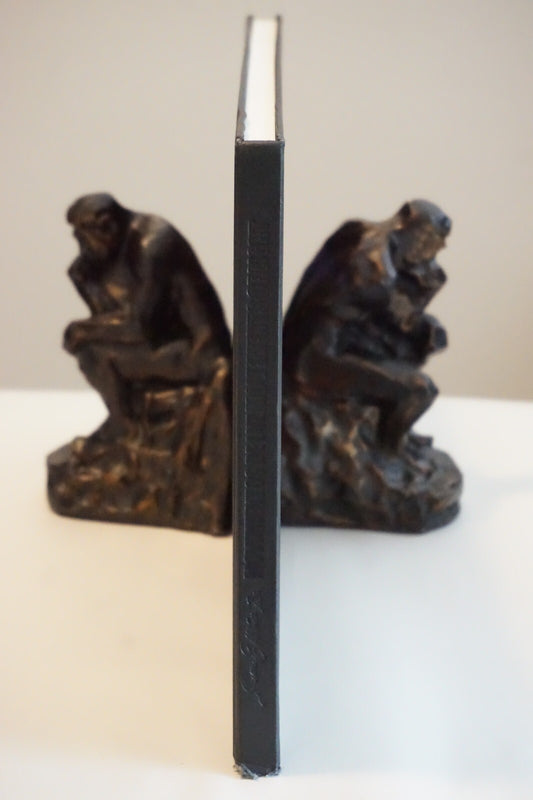 Movements of Light by Juan E. Munoz Balderas 2003 Hardcover