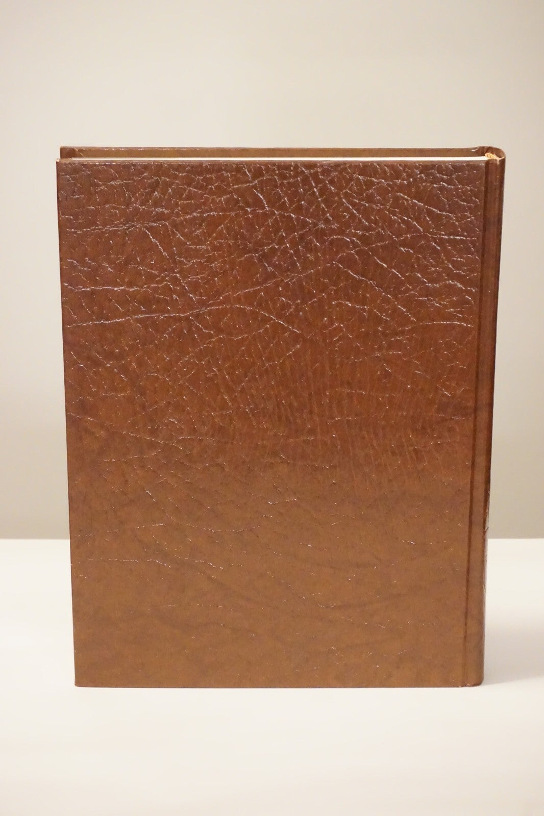 Mills County, Texas Memories 1994 Hardcover
