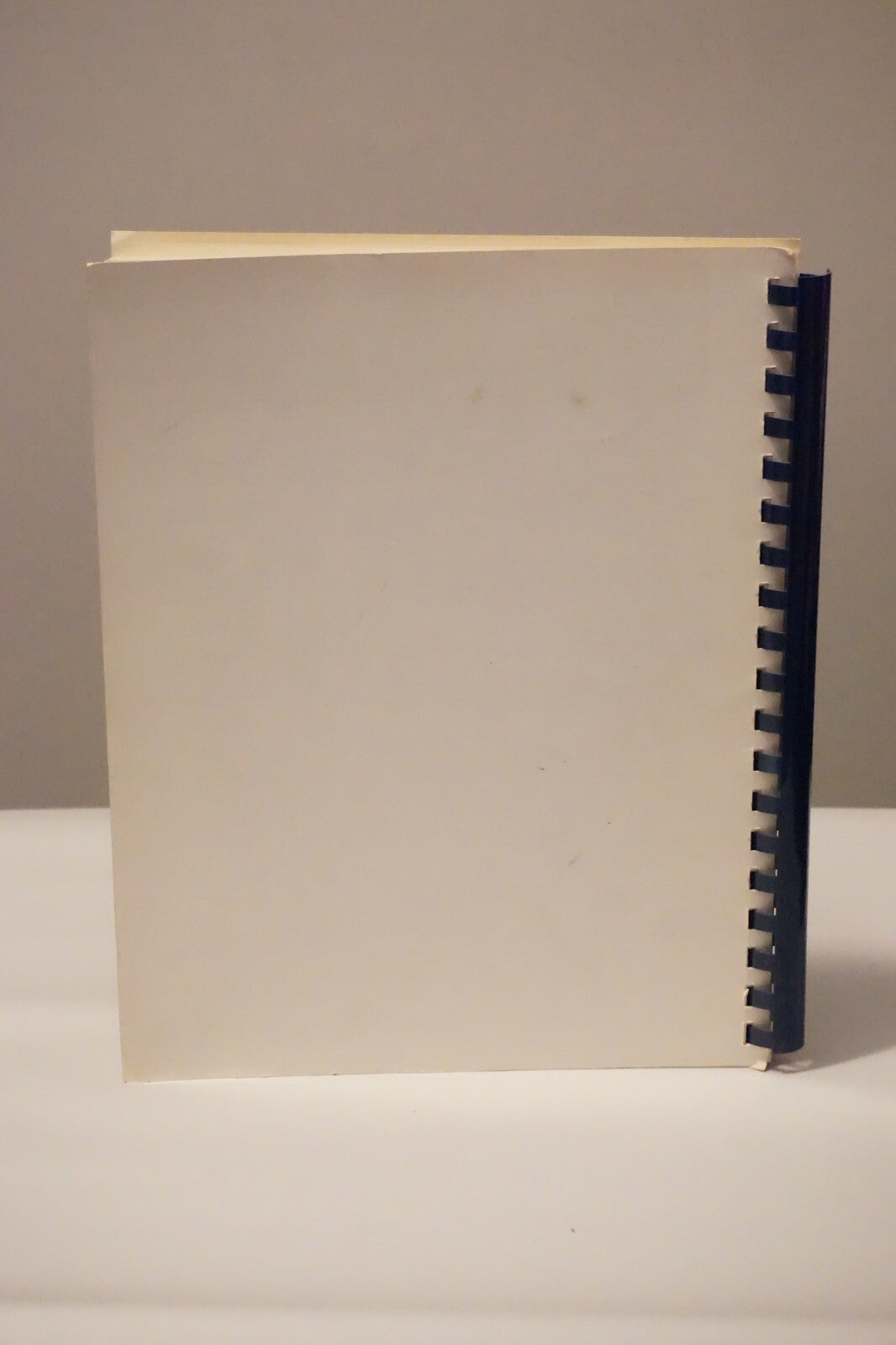 Very Rare Copy of Big Blue Seed by Raymond Kosmic 1984 Spiralbound