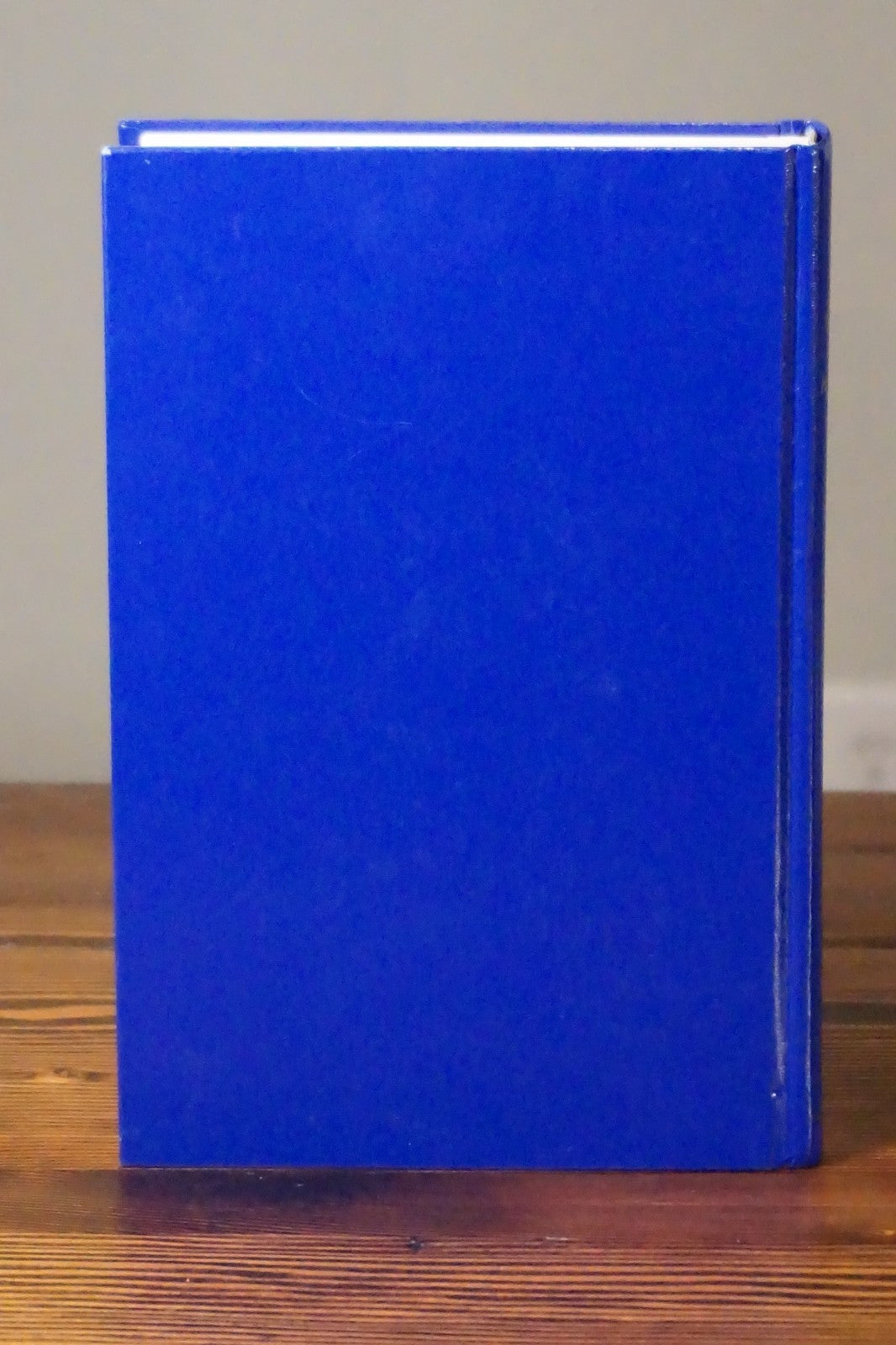 The Biography of a Particular Place: Bee County, Texas by Margaret Lyne Moser HC