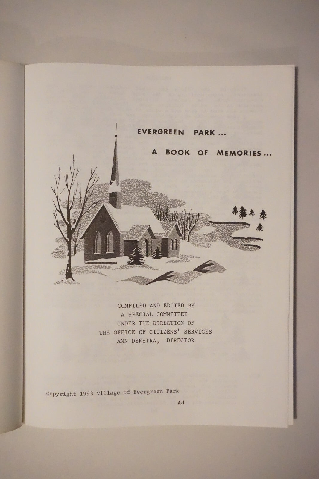 Evergreen Park, Illinois Centennial Celebration Book 1993 Softcover