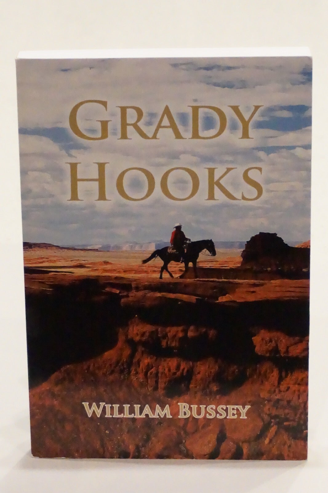 Rare William P. Bussey Collection of 17 Signed Novels