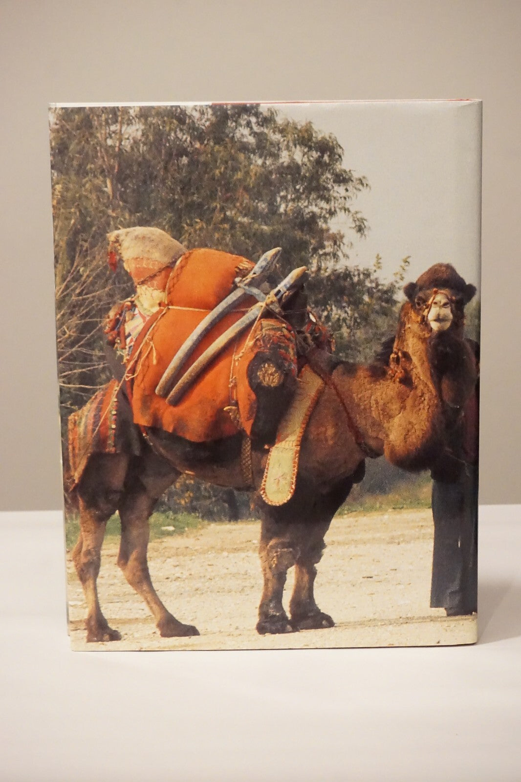 Around The World In A Jeep by Will Parish and Perk Perkins 2008 HC DJ 1st Ed