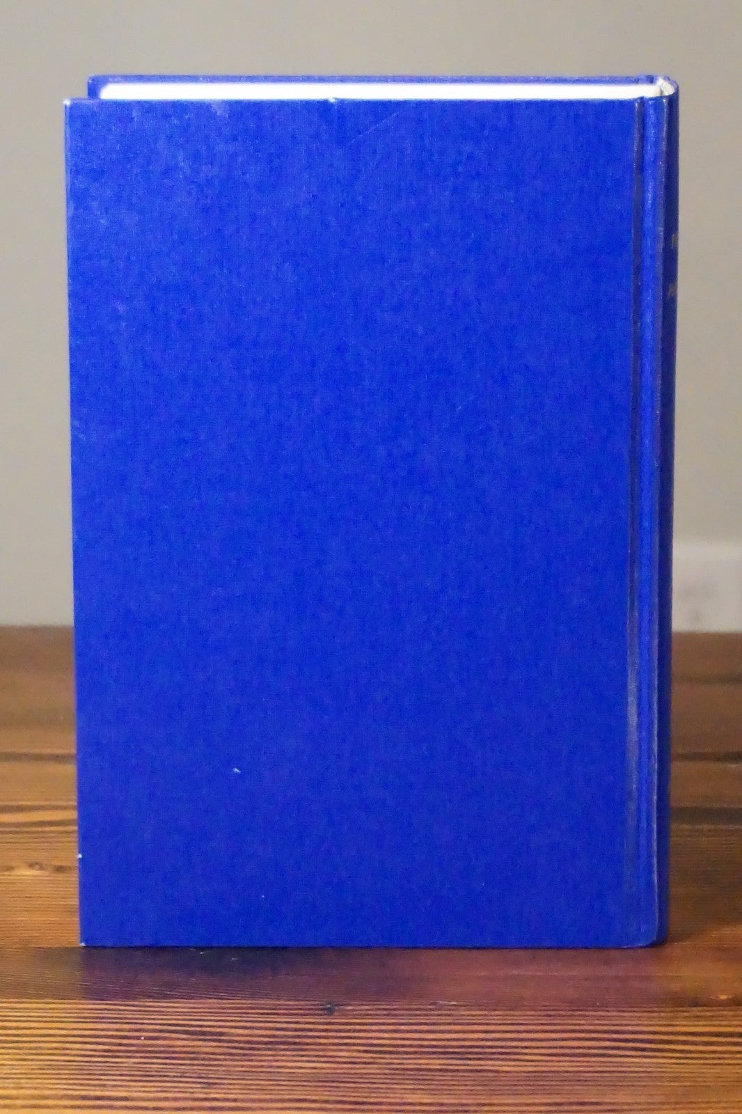 The Biography of a Particular Place: Bee County, Texas by Margaret Lyne Moser HC
