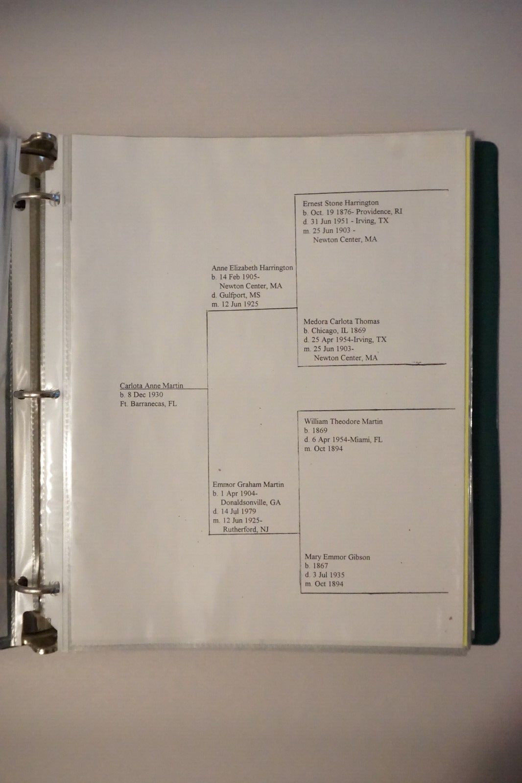 Martin Family Genealogy Research Notebook by William M. Montgomery