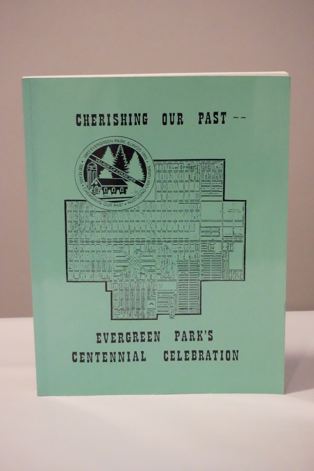 Evergreen Park, Illinois Centennial Celebration Book 1993 Softcover