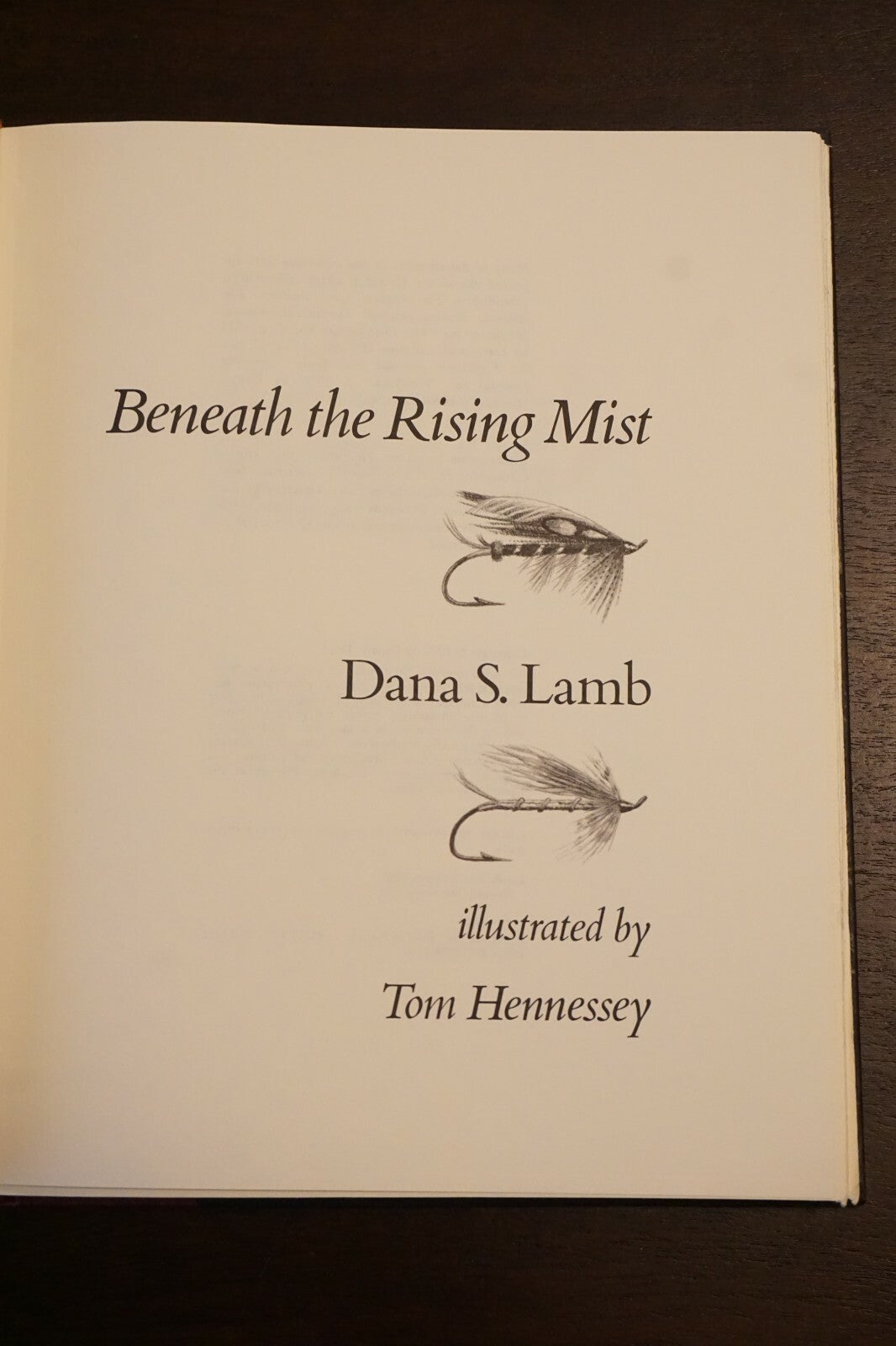 Beneath The Rising Mist by Dana S. Lamb 1979 HC DJ