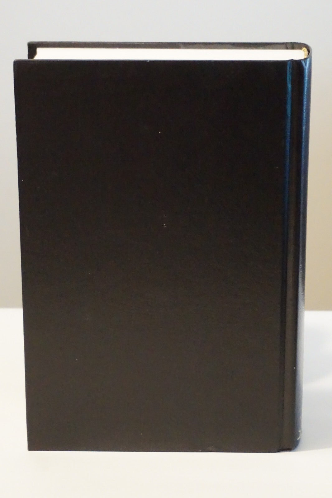 The Bible As A Rising Civilization Paul Mali 1998 HC DJ