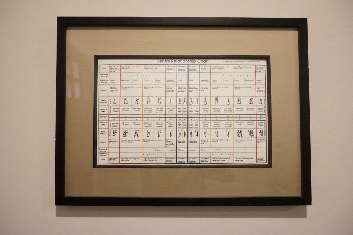 Dental Relationship Chart by Fritz Kramer - Framed 17.5" x 23.5"