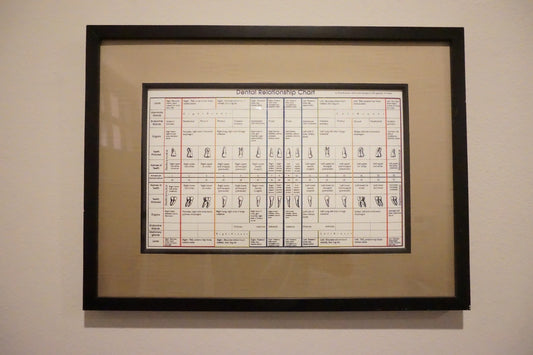 Dental Relationship Chart by Fritz Kramer - Framed 17.5" x 23.5"