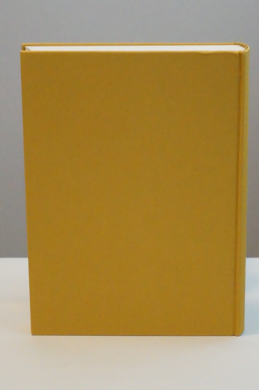 Juden als Darmstadter by Eckhart Franz 1984 HC DJ
