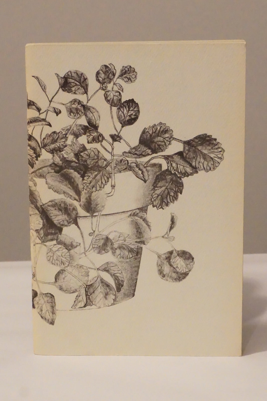 Montage Literary Magazine Greenhill School Dallas, Texas - Fifteen Volumes