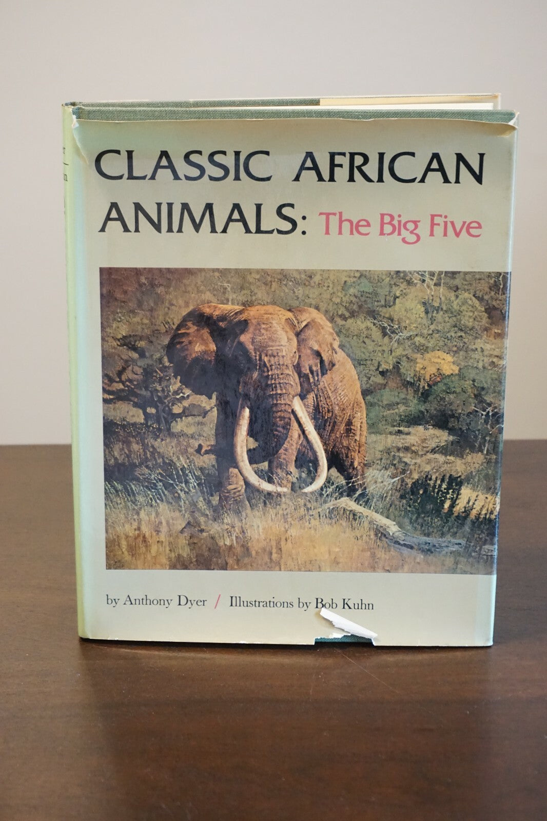 Classic African Animals: The Big Five by Anthony Dyer 1973 HC DJ 9780876910955| eBay