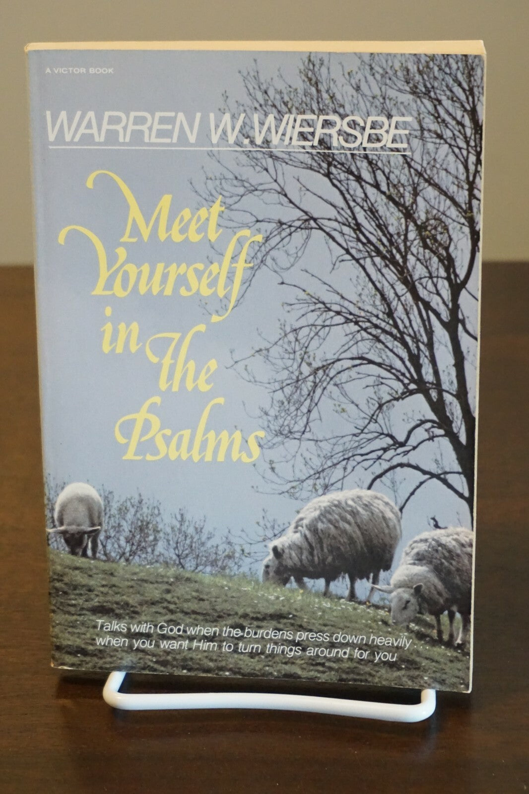 Warren Wiersbe Collection of 10 Vintage Books