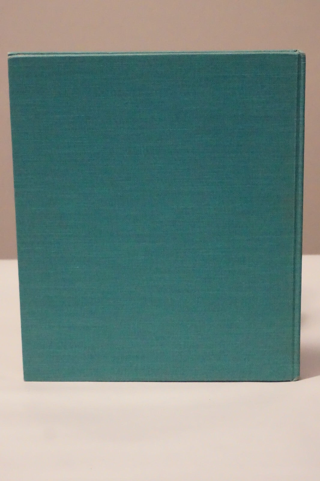 Looking For-Something by Ann Nolan Clark 1952 1st Edition HC DJ