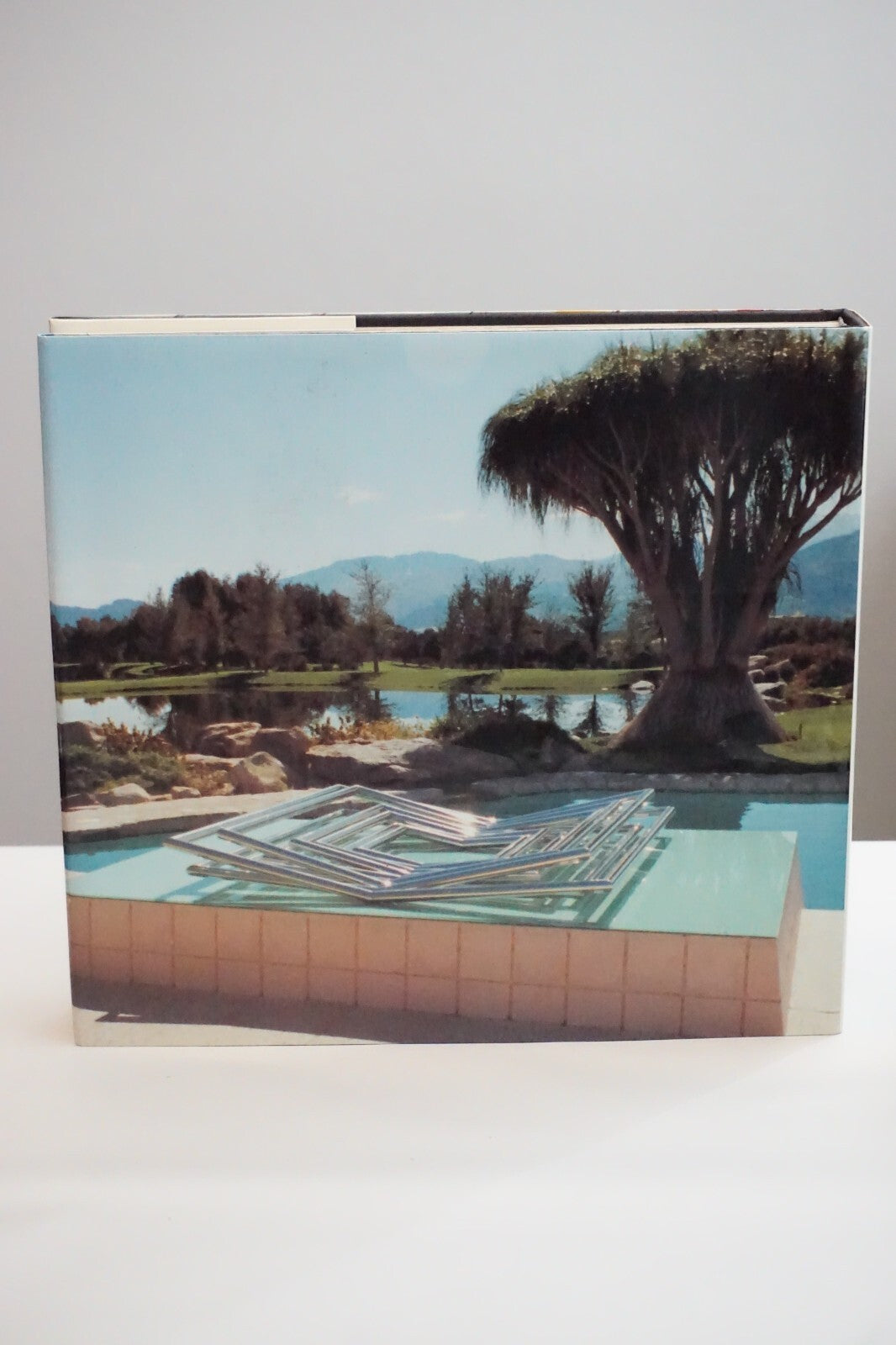 Agam by Frank Popper 1976 Hardcover Dust Jacket 9780810902947| eBay