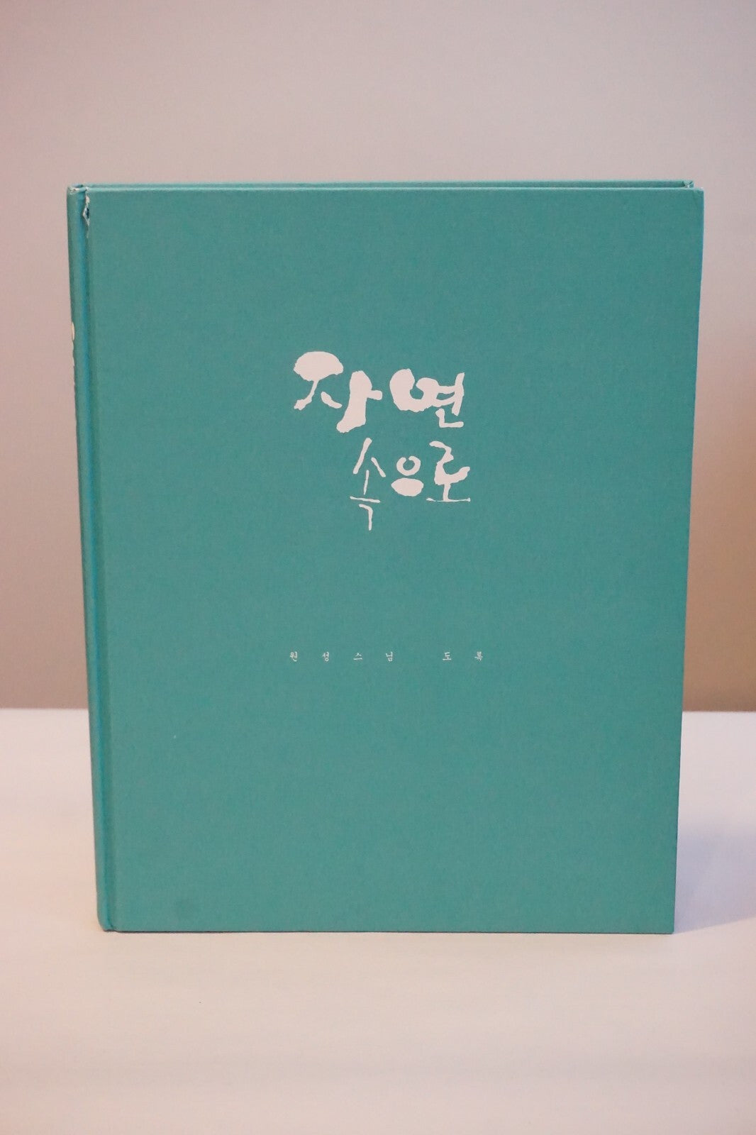 Into Nature by Wonseong Monk 2002 HC DJ Korean
