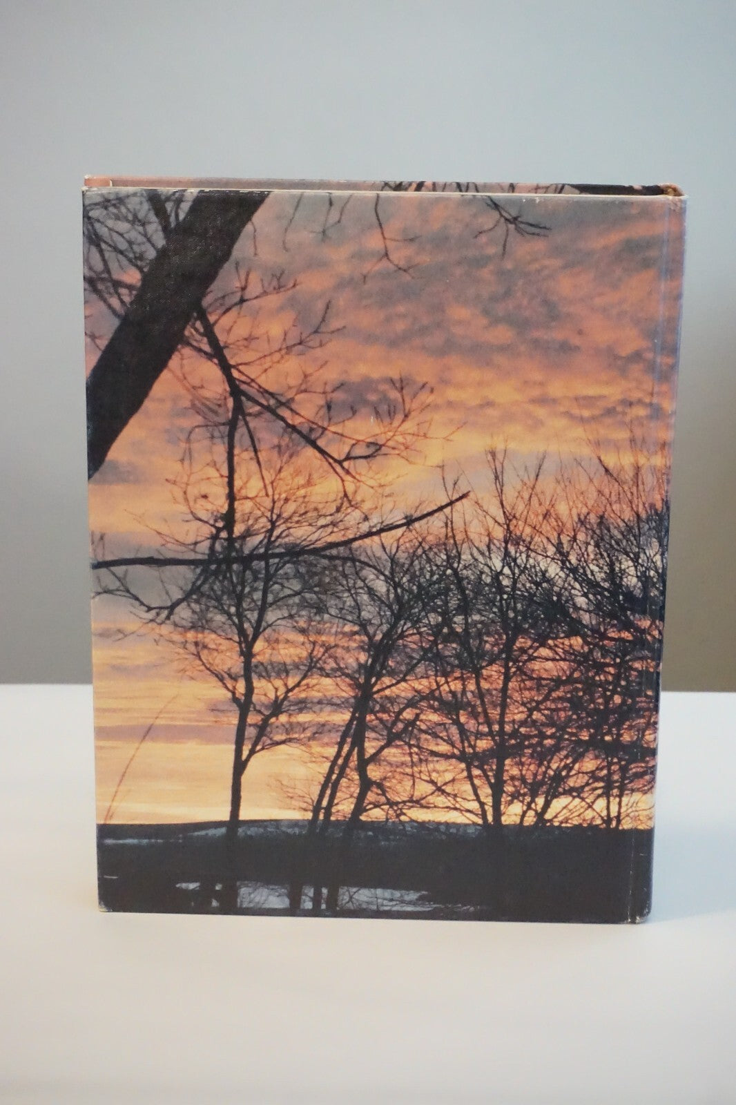 The History of Greenwood County, Kansas - Volumes I and II