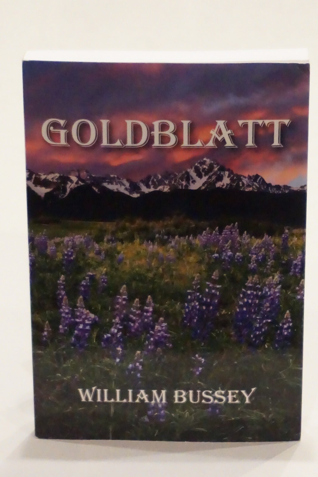 Rare William P. Bussey Collection of 17 Signed Novels
