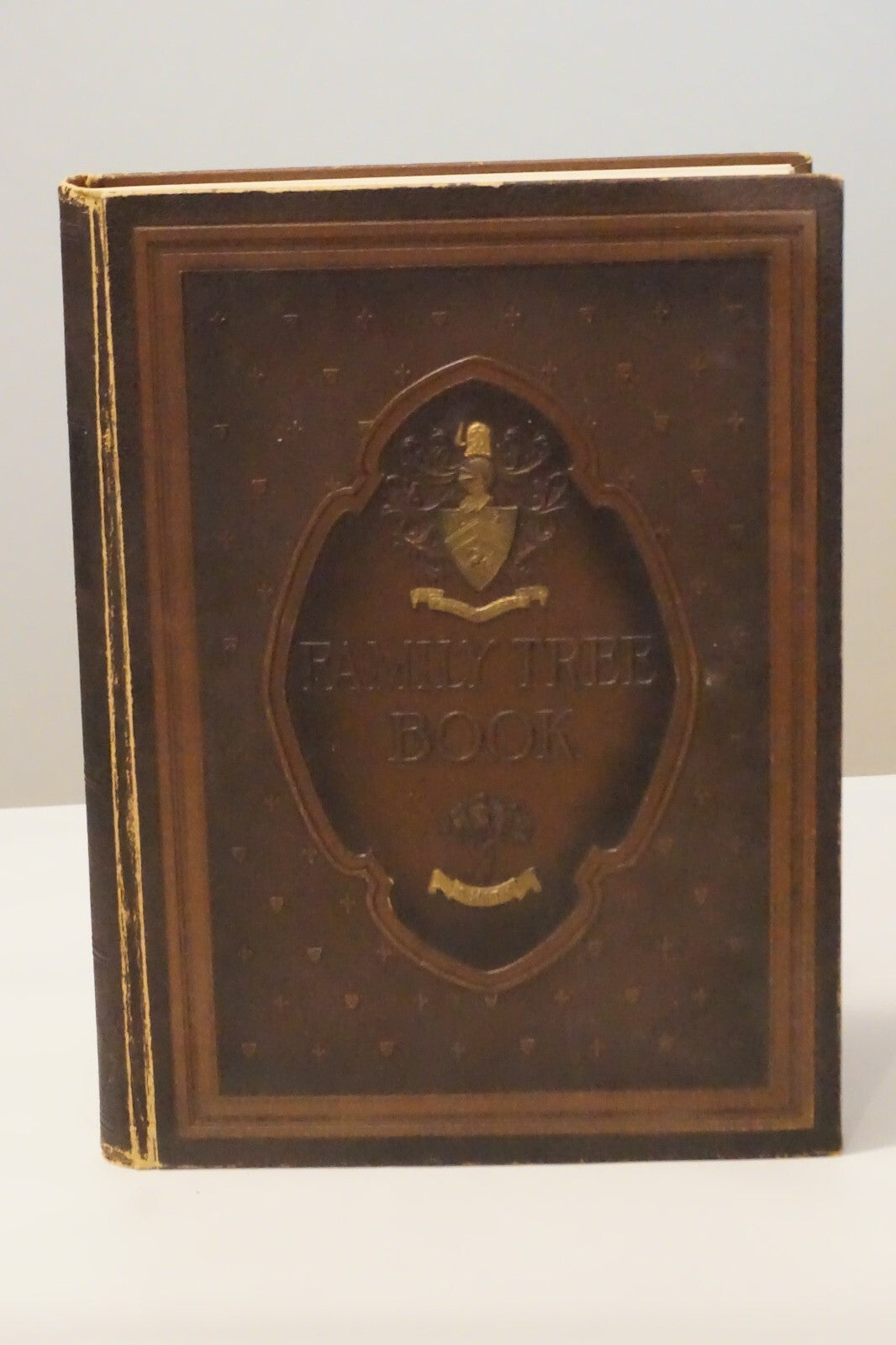Smith Family Tree Book by W. Thomas Smith 1922 Hardcover