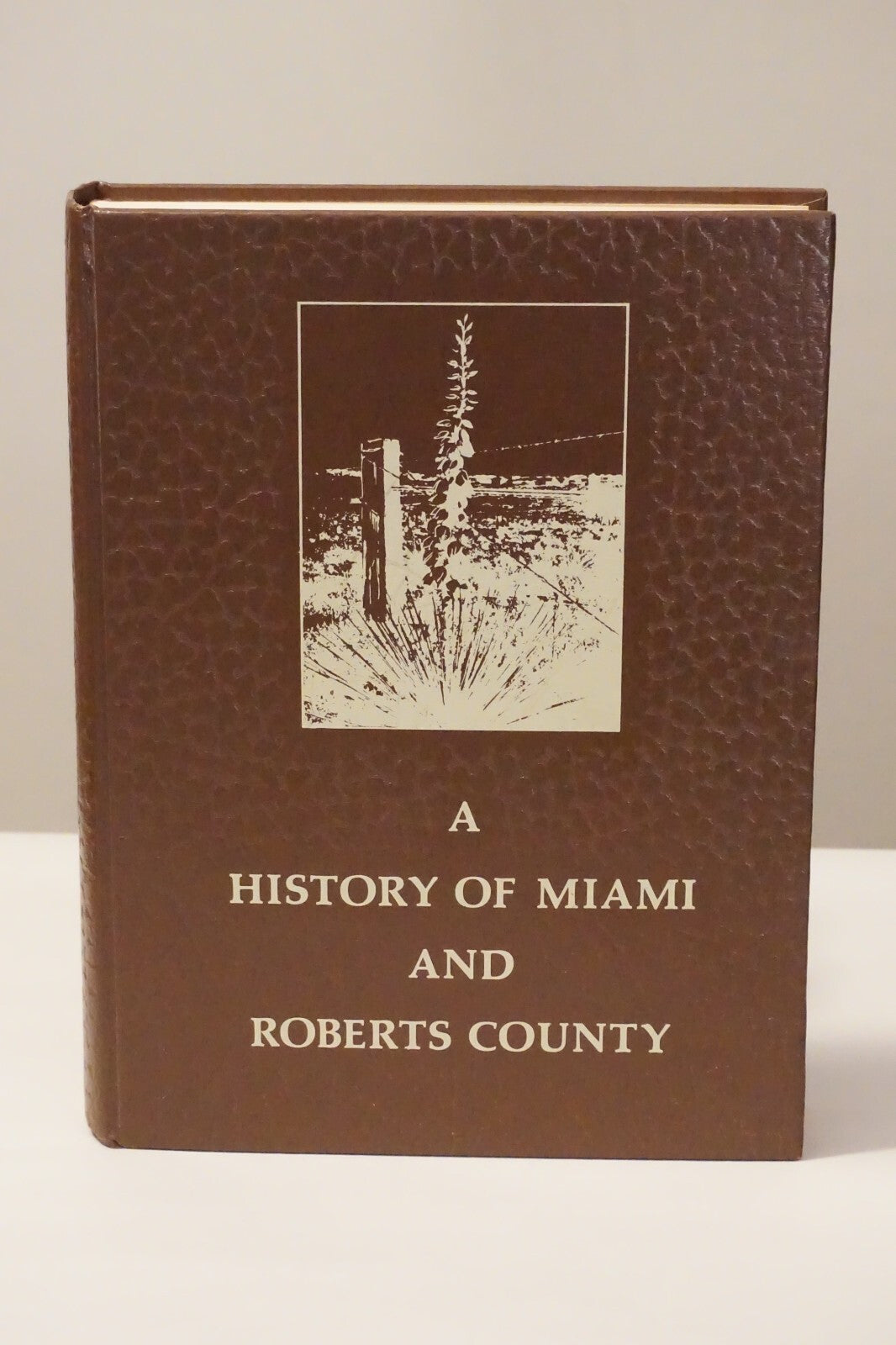A  History of Miami and Roberts County, Texas 1976