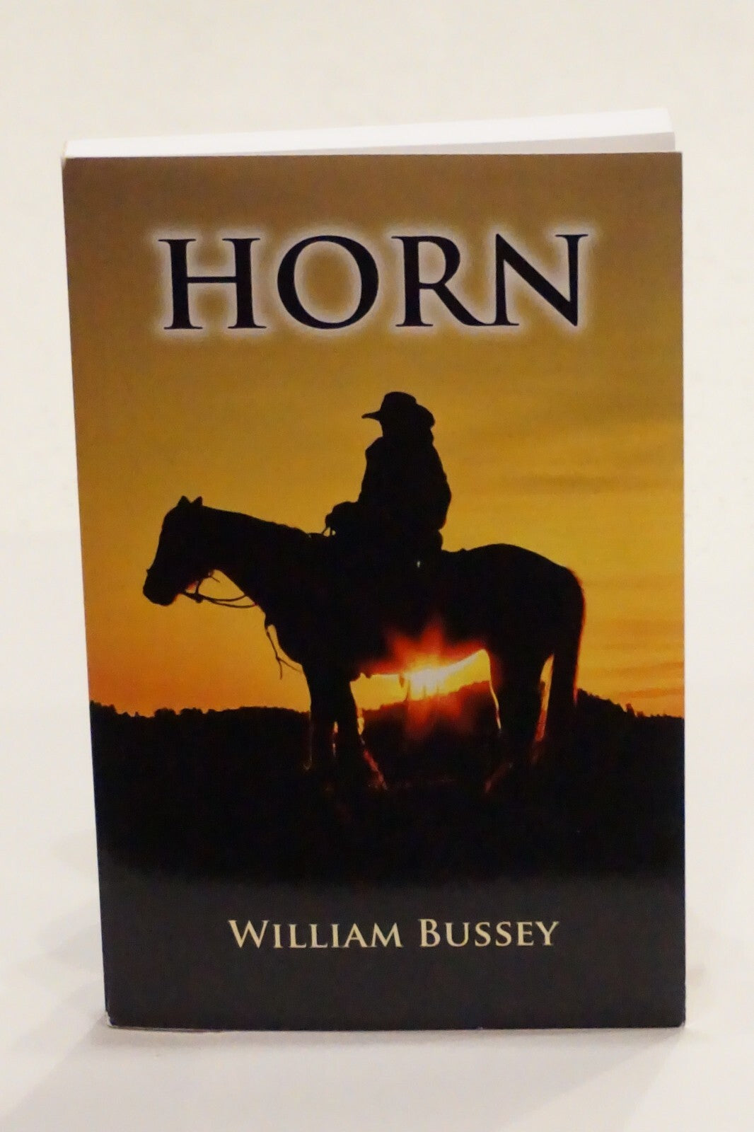 Rare William P. Bussey Collection of 17 Signed Novels