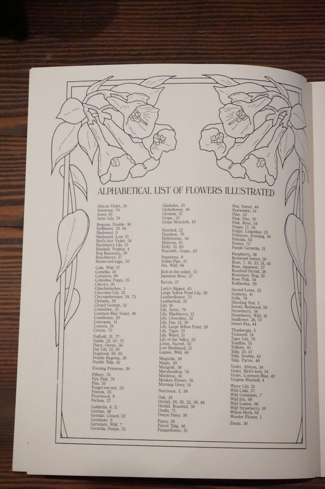 Floral Designs and Motifs for Artists Needleworkers and Craftspeople Charlene Tarbox Dover