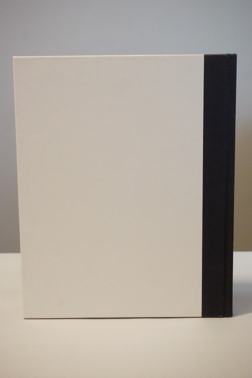 Life Cast : Behind the Mask by Willa Shalit 1993 Signed HC DJ