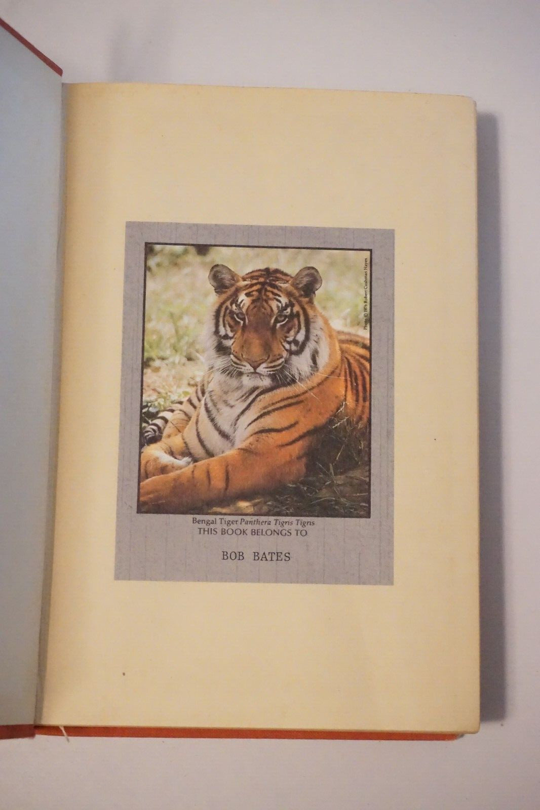 Big Game of Africa by H.C. Maydon 1935 Hardcover