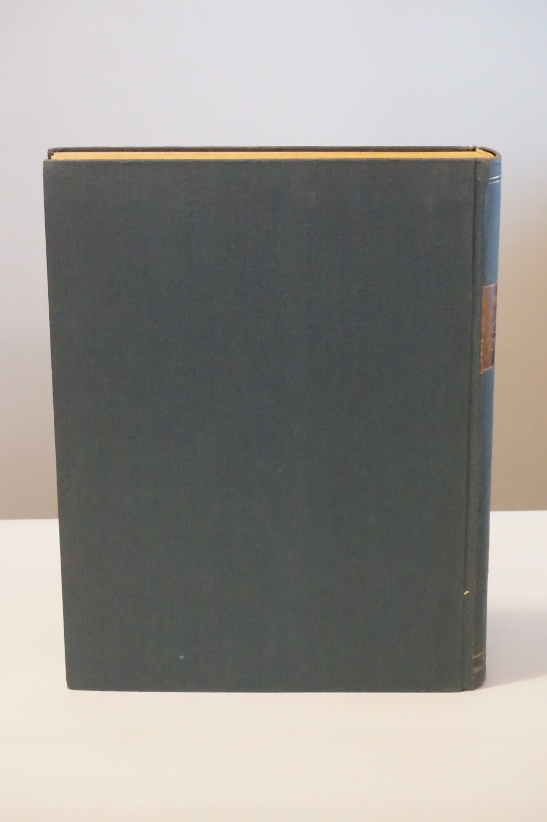 Carlo Crivelli by Franz Drey 1927 HC DJ German