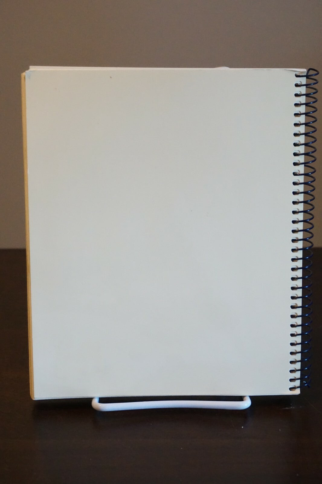 Blue Bell Creameries Cookbook Collection of Three Spiralbound Cookbooks