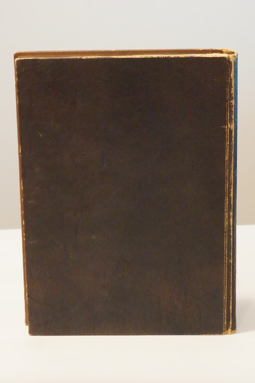 Smith Family Tree Book by W. Thomas Smith 1922 Hardcover
