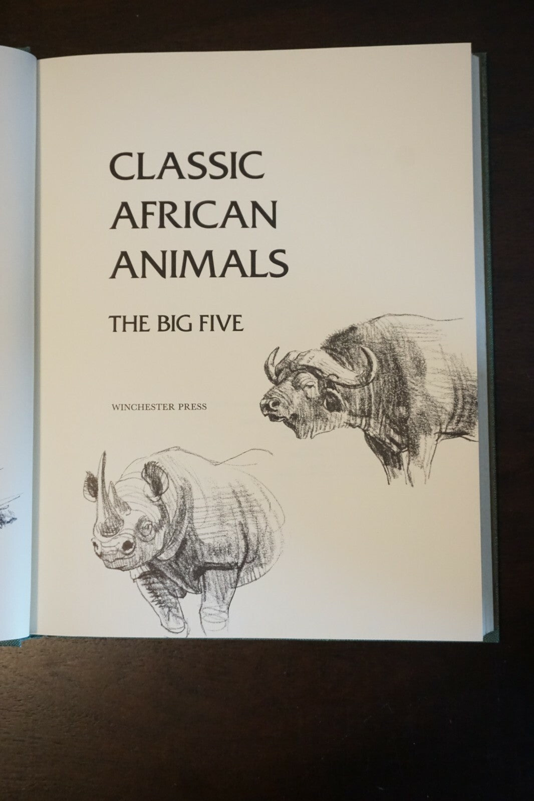 Classic African Animals: The Big Five by Anthony Dyer 1973 HC DJ 9780876910955| eBay