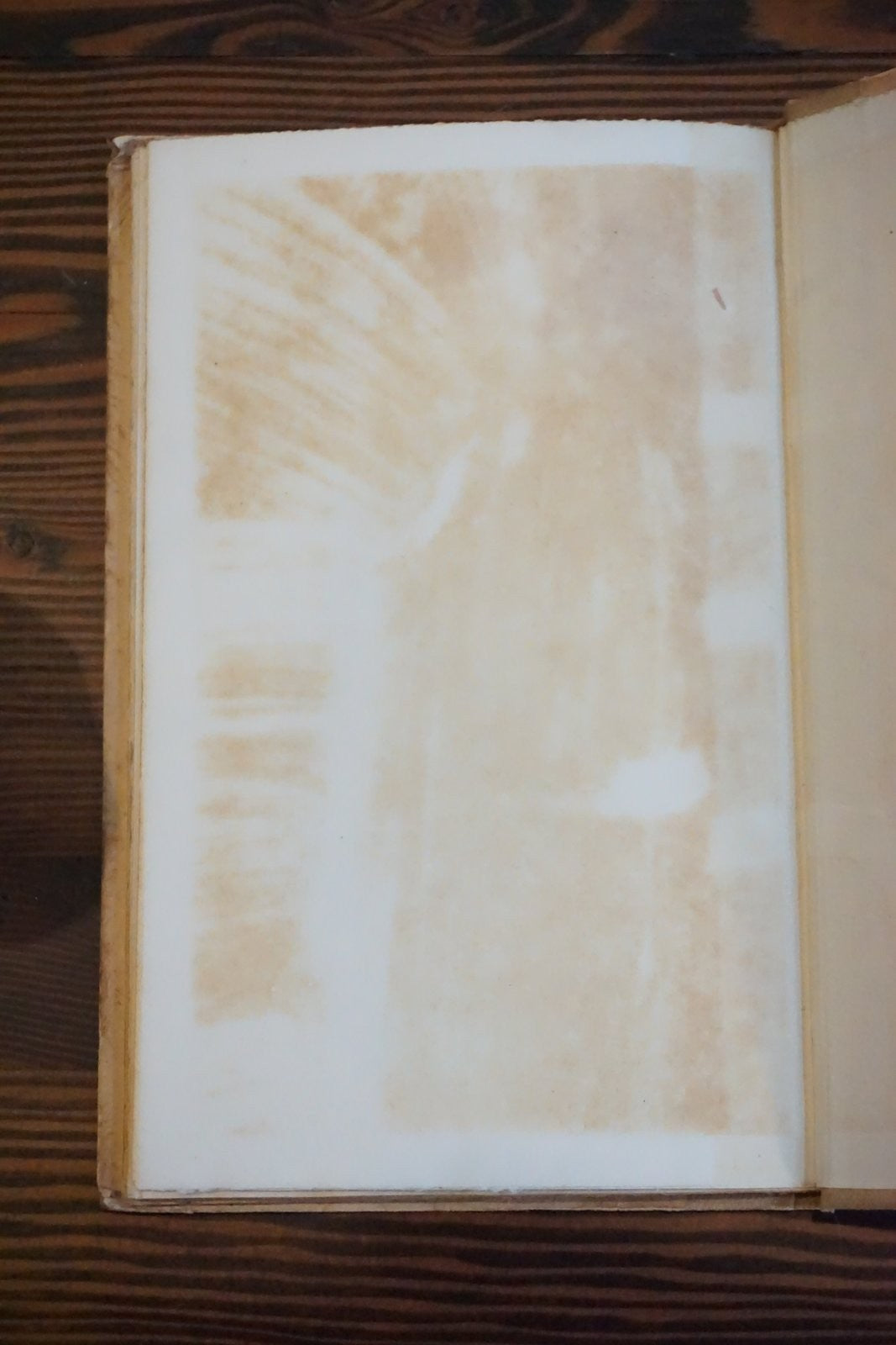 One Day More Joseph Conrad Beaumont Press 1919 Limited Edition No 171 of 274
