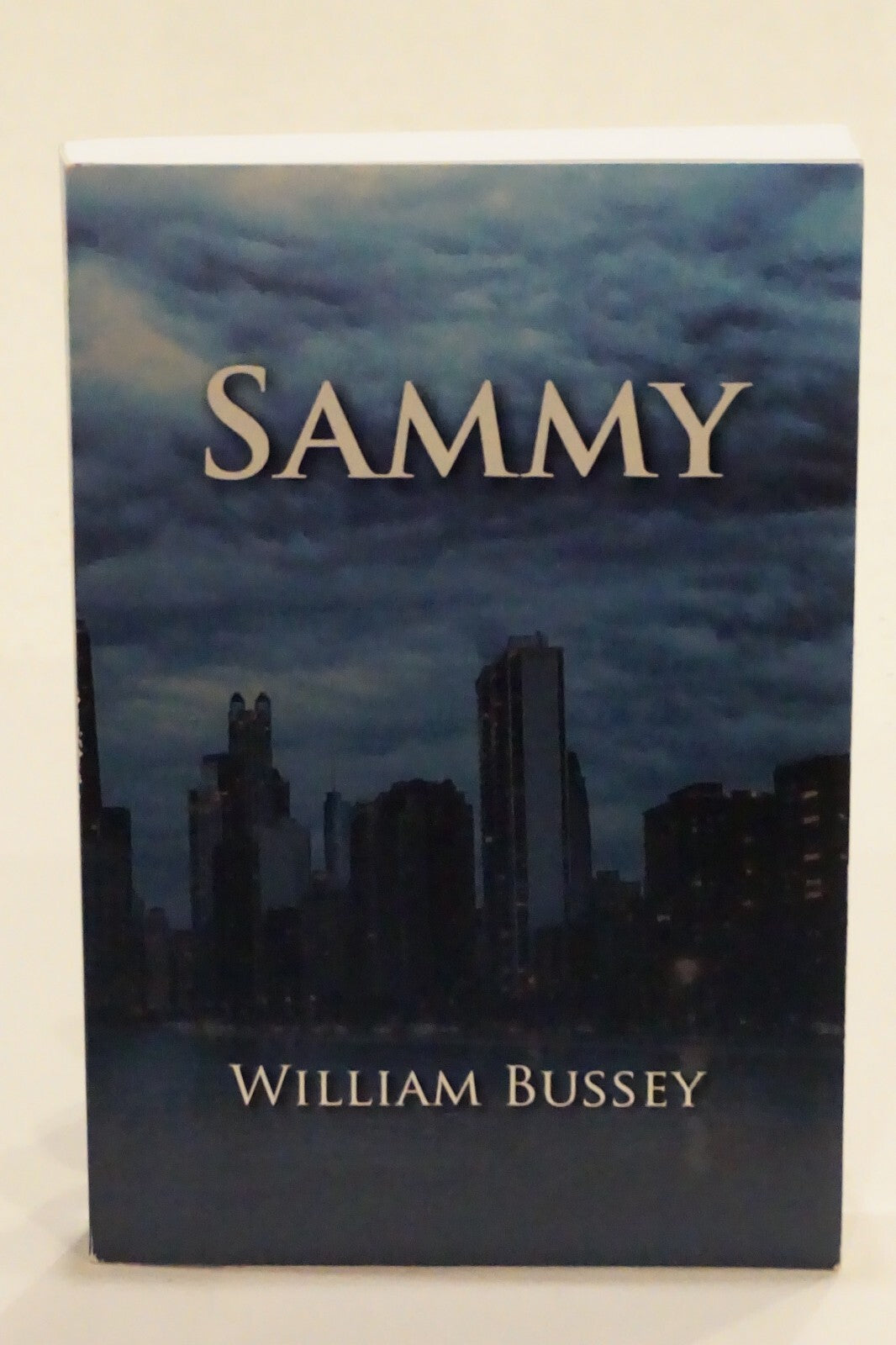 Rare William P. Bussey Collection of 17 Signed Novels